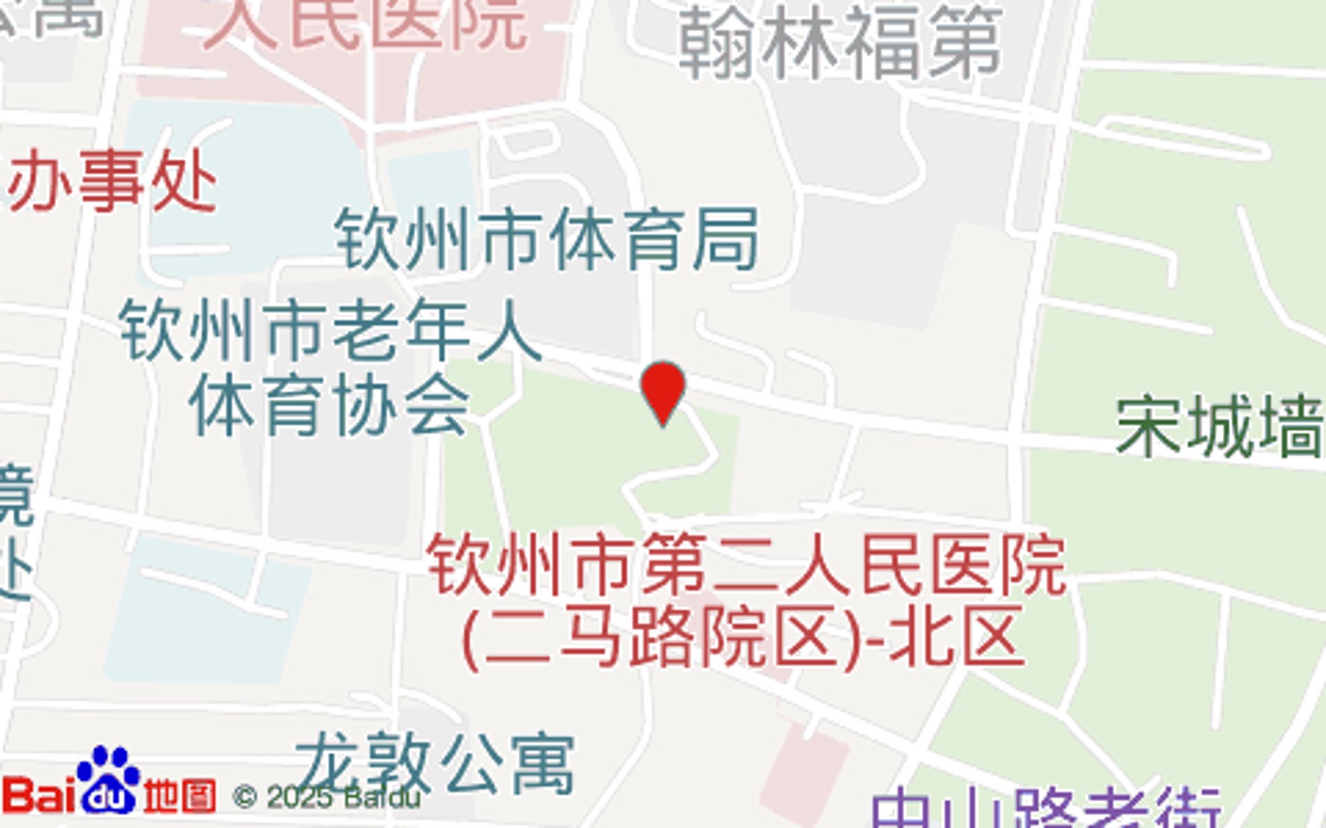 国槐为何成为城市绿化首选？——深度剖析其优势与劣势